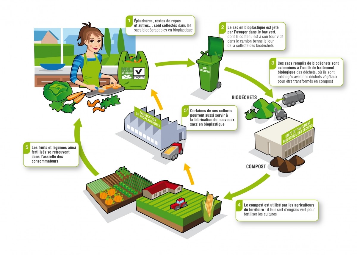 Schema De Fabrication D Un Broyeur A Vegetaux
